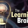 TTC – The Learning Brain