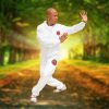 Tai Chi – Yang style- Chi Kung