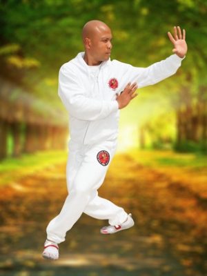 Tai Chi – Yang style- Chi Kung