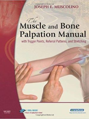 Joseph E.Muscolino – The Muscle and Bone Palpation Manual