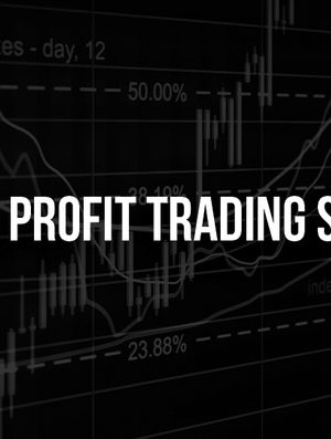 The Trade Academy – Simple Profit Trading System