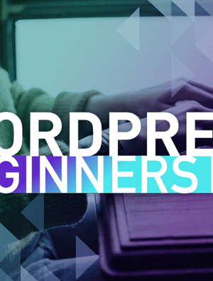 The WordPress & Divi Beginner’s Kit