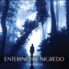 Tom Kenyon – Entering The Nigredo