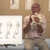 Tom Myers – Balancing the Pelvis