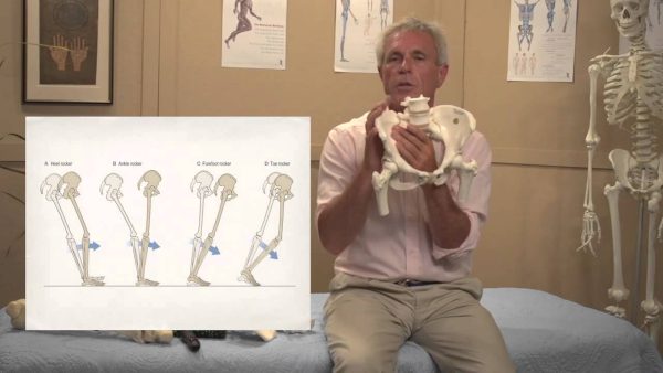 Tom Myers – Balancing the Pelvis