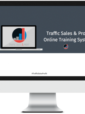 Traffic Sales & Profit Online Training System