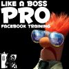 Travis Petelle – LIKE A Boss PRO Facebook Training