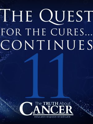 Ty Bollinger – The Quest for the Cures… Continues