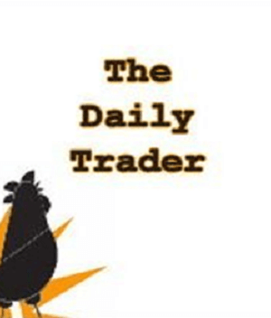 Walter Peters – FXjake Daily Trader Program