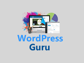 WordPress Guru – How to Make a WordPress Website Quickly