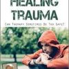 Working the Edge in Healing Trauma Can Therapy Sometimes Be Too Safe