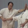 Yang Jwing Ming – Tai Chi Chin Na