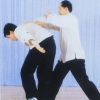 Yang Jwing Ming – Tai Chi Pushing Hands Courses 1 – 4