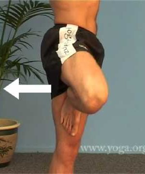 Yoga for Health: Al – Gregs Yoga for Beginners