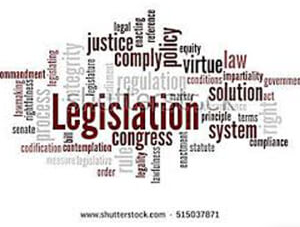 Sharon Tang – Legislation Notes